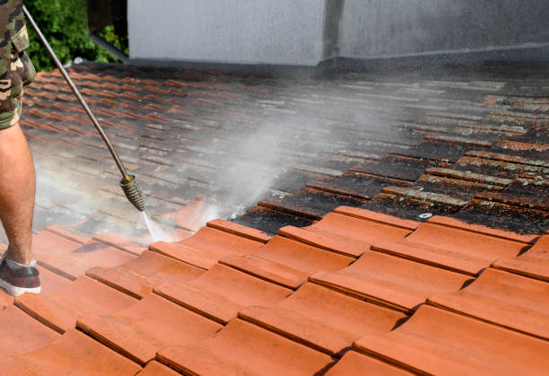 Best Power Washing Near Me  in Bellmawr, NJ